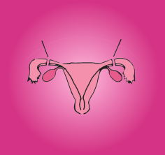 सेन्टक्रोमन गोली